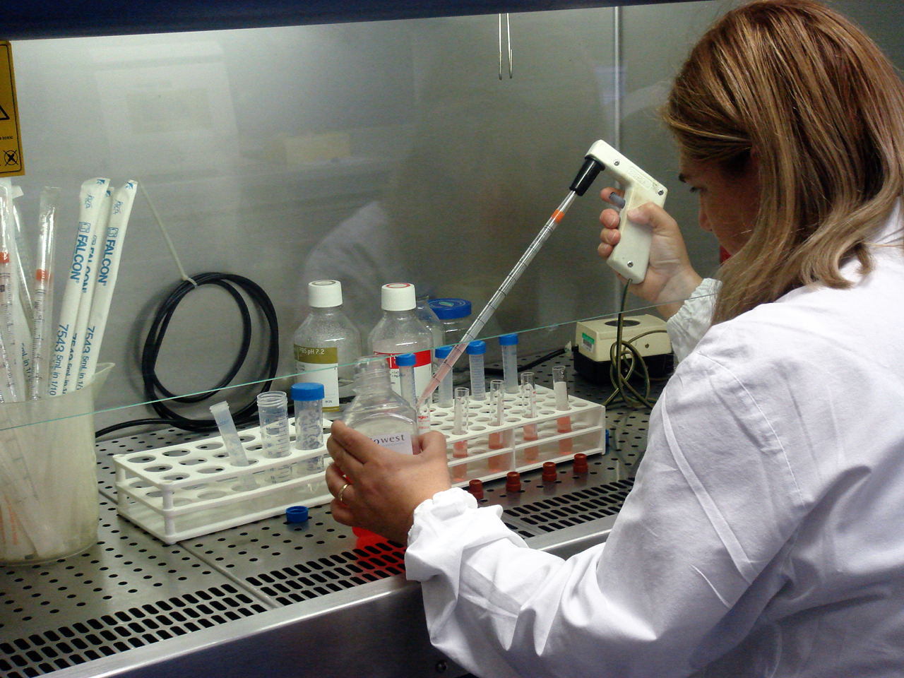 Lem proteina contro il cancro che rafforza le difese immunitarie