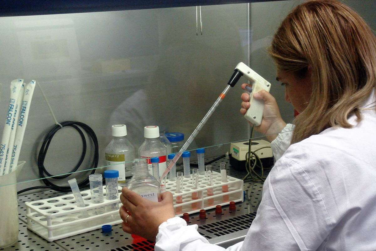 Usa: creato fegato in laboratorio